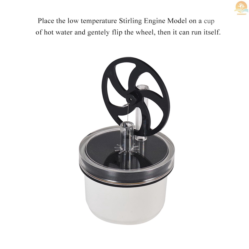 Low Temperature Stirling Engine Motor Steam Heat  Education Model Toy