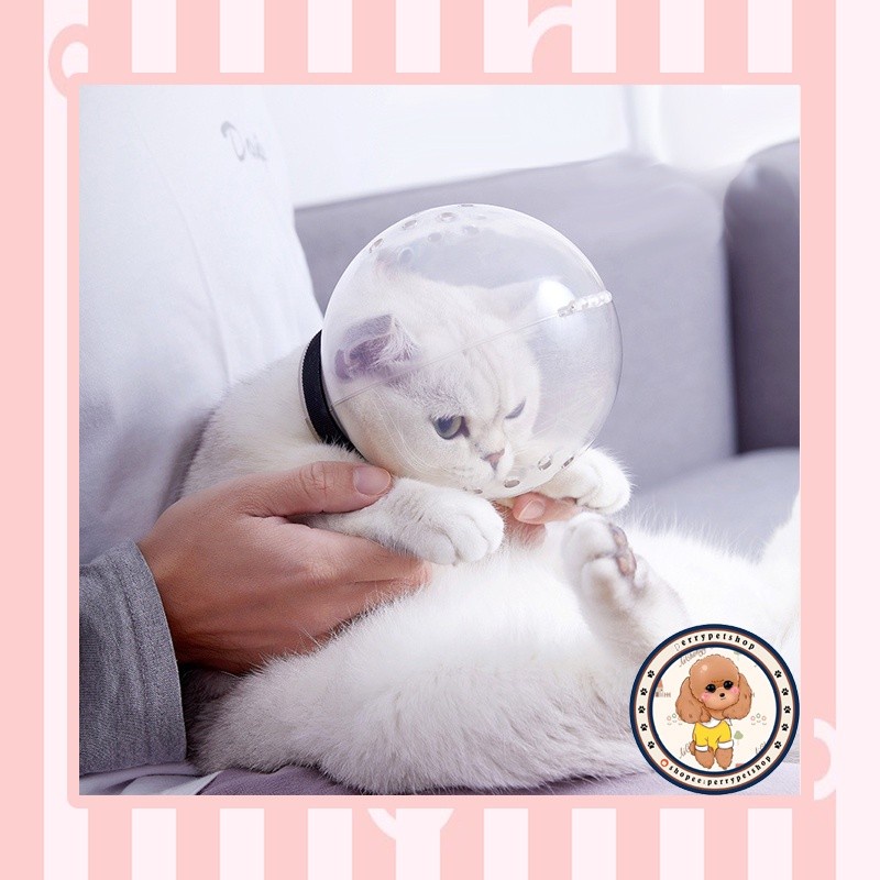 Pet Cone Bulat Transparan Astronot Untuk Anjing Dan Kucing