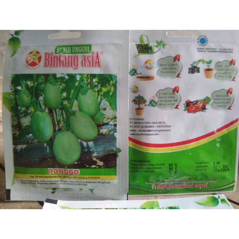 benih terong pondoh hijau ronggo (bintang asia)