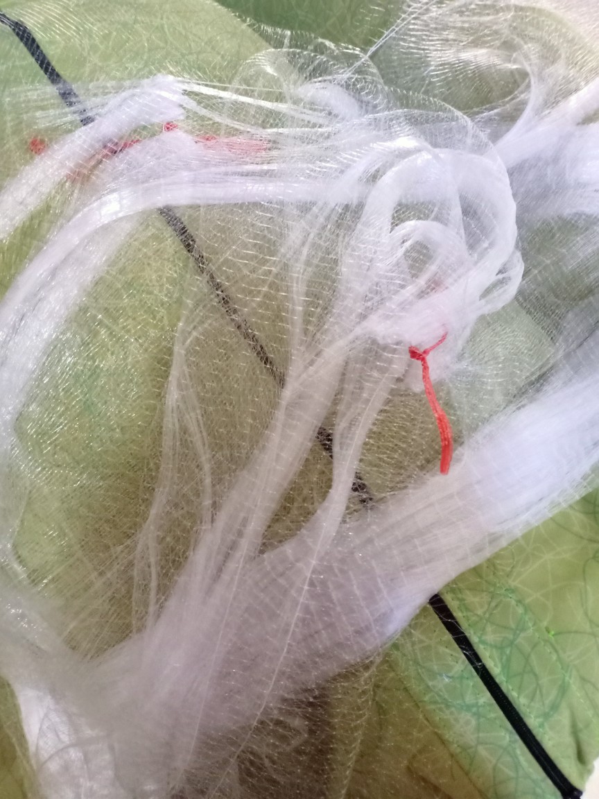 Jaring Burung Pelindung Padi Di Sawah Warna Putih Bening