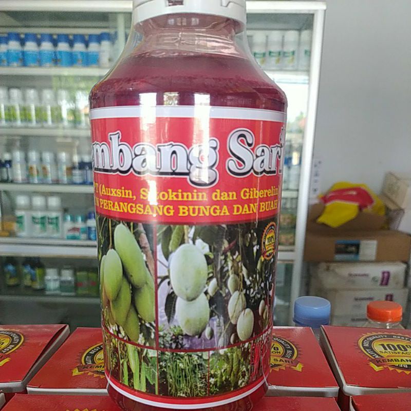 Kembang Sari (Auxsin, Sitokinin dan Giberelin)