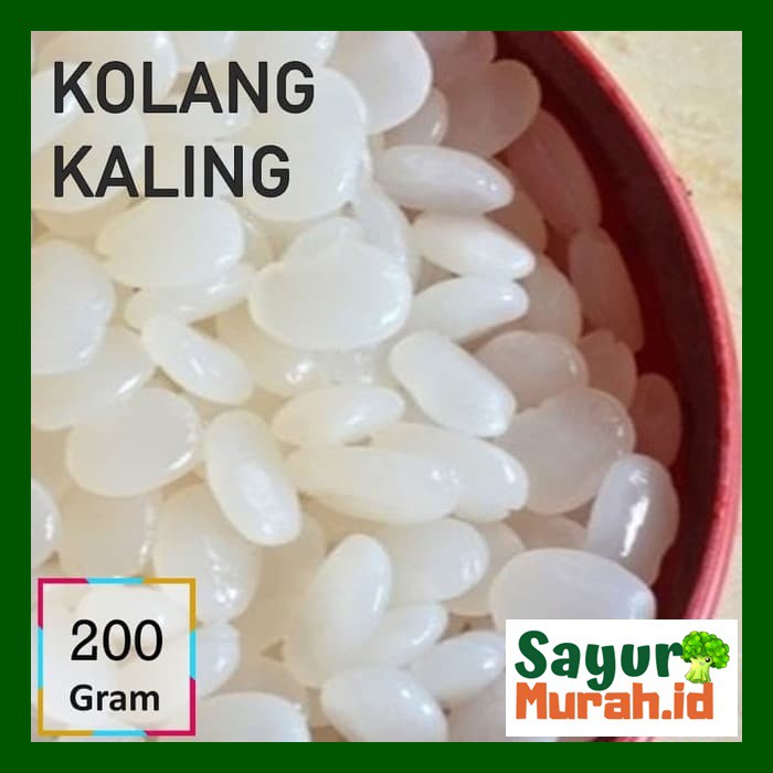

KOLANG KALING [250g]