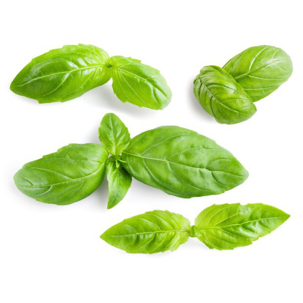 

Basil Sweet Italian 250gr