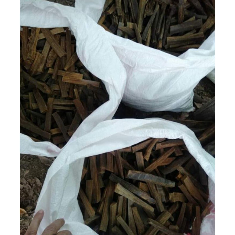 chips kayu gaharu kalimantan kualitas super gread A