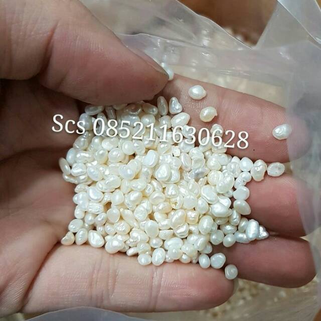 

Bubuk Mutiara ZHEN ZHU FEN 38 gram