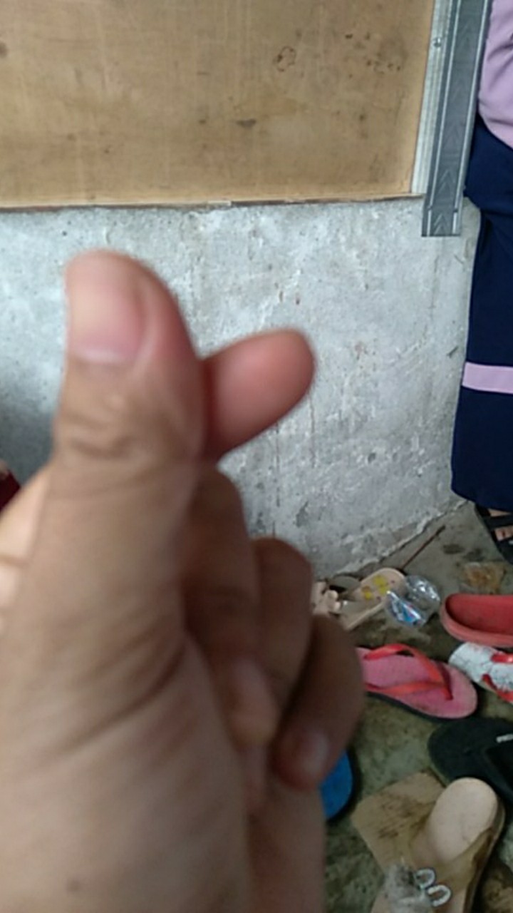 Serbet Pyramid / Koala / Lap Kotak / Kain Lap 50x46 1 Lusin (12pcs)