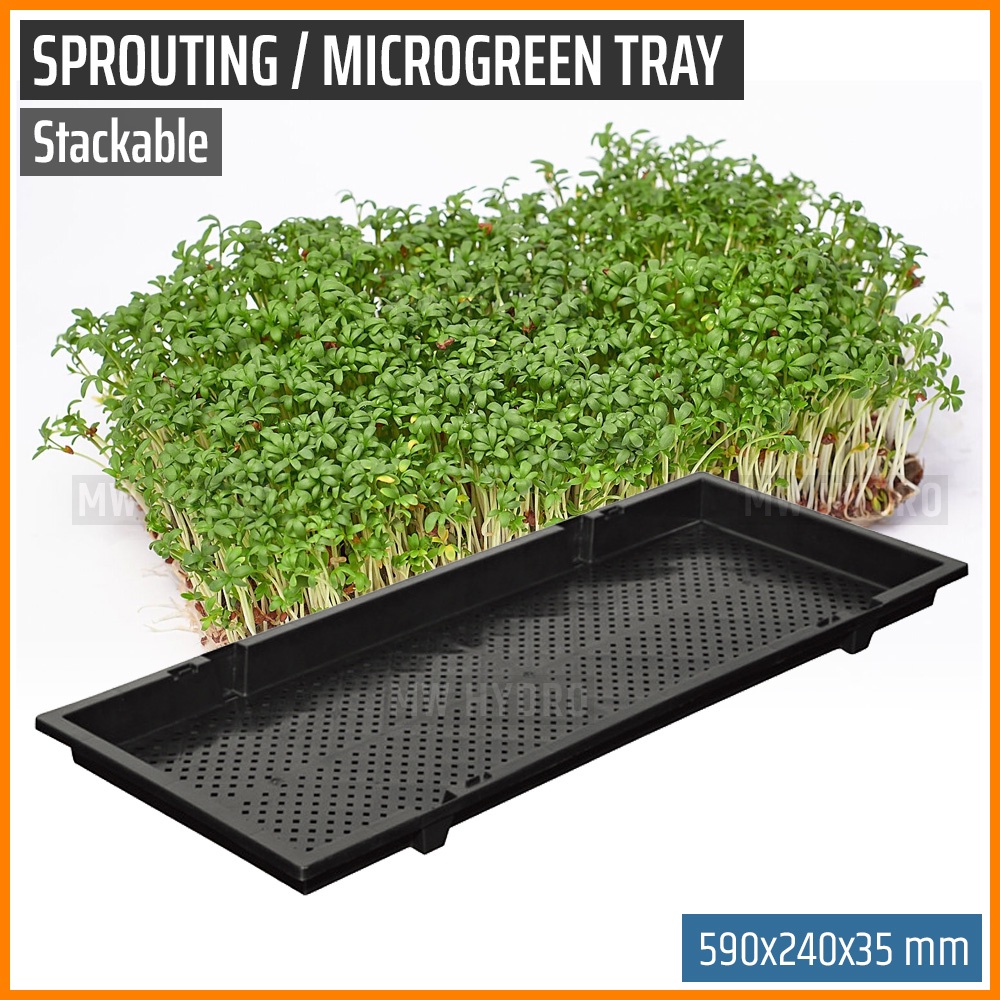 Stackable Tray For Sprouting, Seedling, Microgreen - 590 x 240 x 35 mm