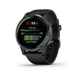 garmin vivoactive 1