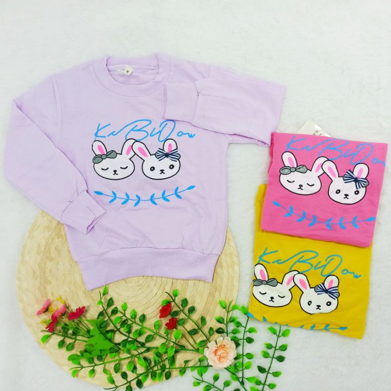 [Ss-3008] Sweater Anak 2-5tahun, Baju Kaos Anak Import, Pakaian Anak Perempuan, Kaos Lengan Panjang