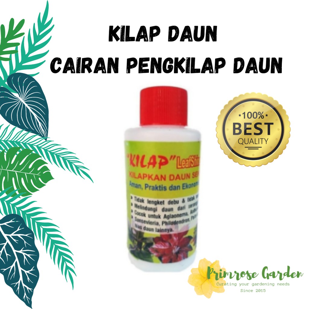KIlap daun pengilap daun untuk tanaman hias