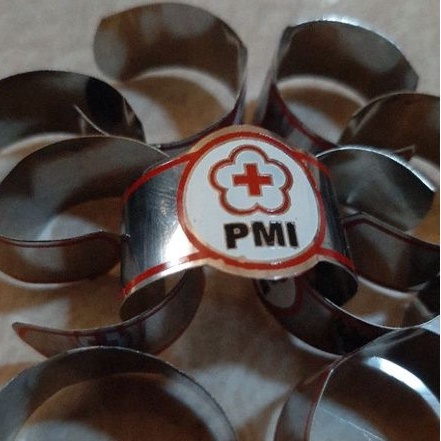 Ring PMI