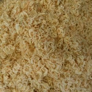 

vf501ge Udang Rebon Murah 1Kg Dscscv