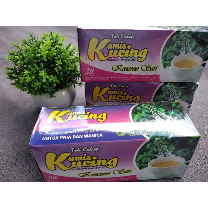 

Teh Daun Kumis Kucing