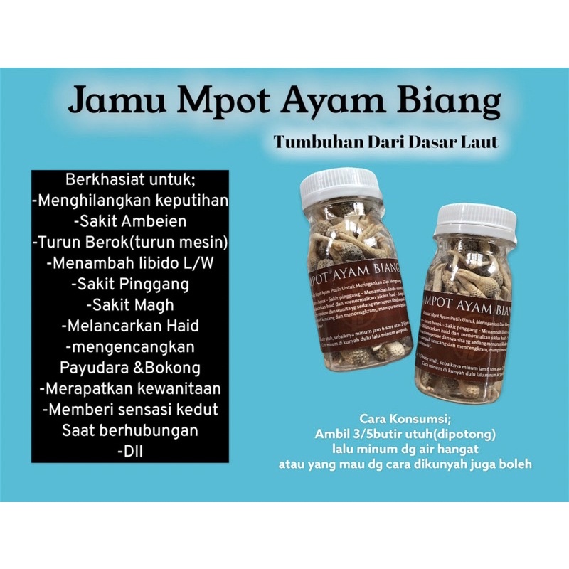 MPOT PUTIH AYAM BIANG