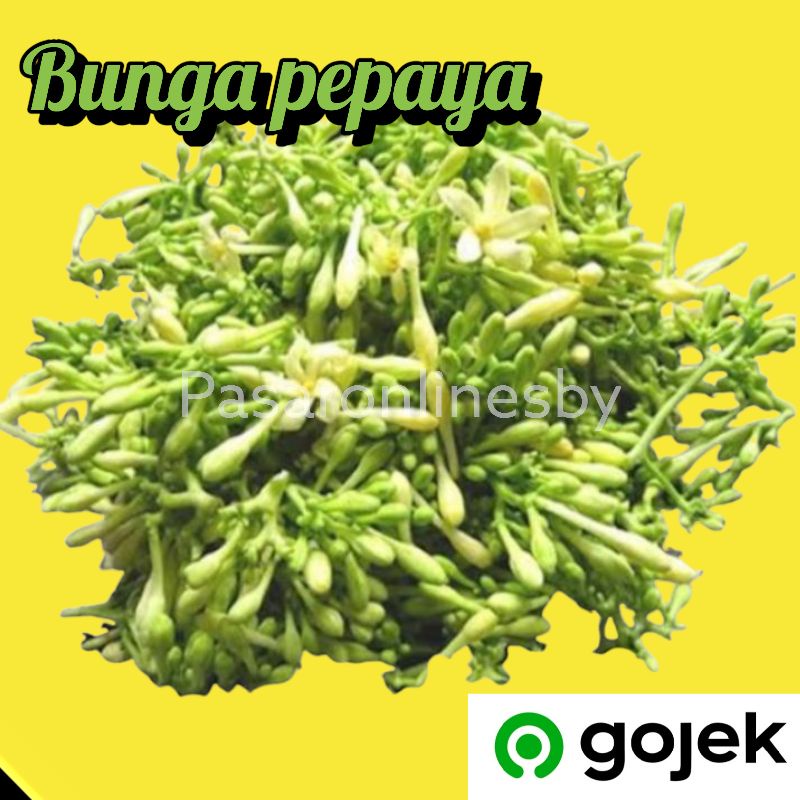 

PASAR GUBENG - Bunga Pepaya