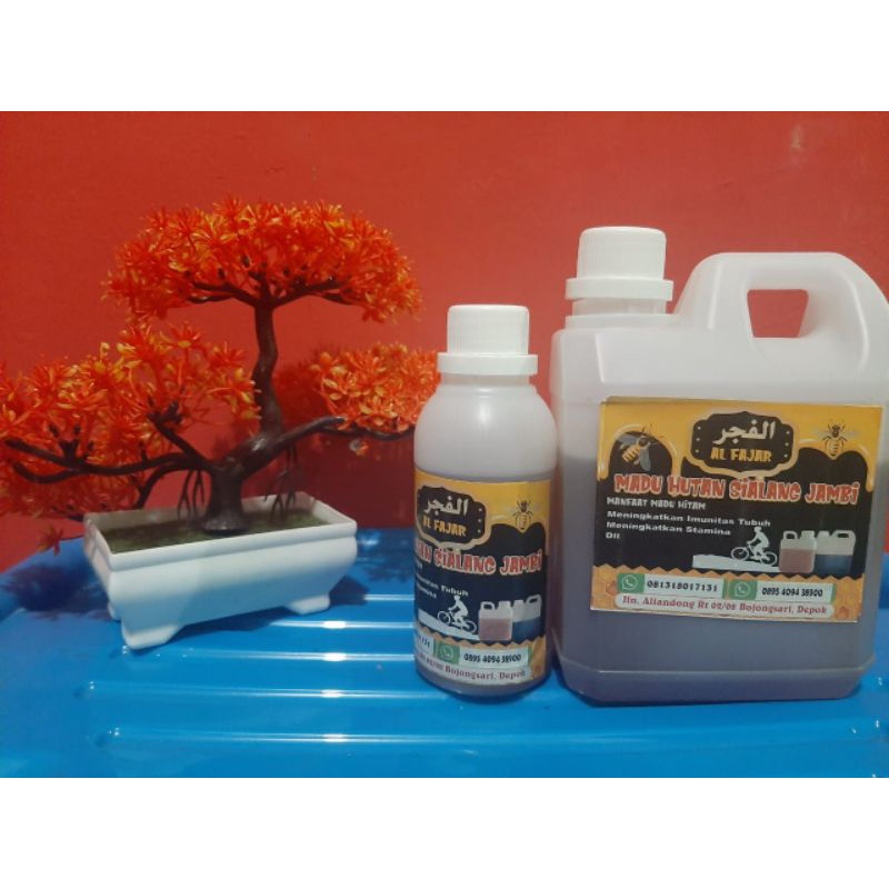 

madu hutan Sialang Jambi original