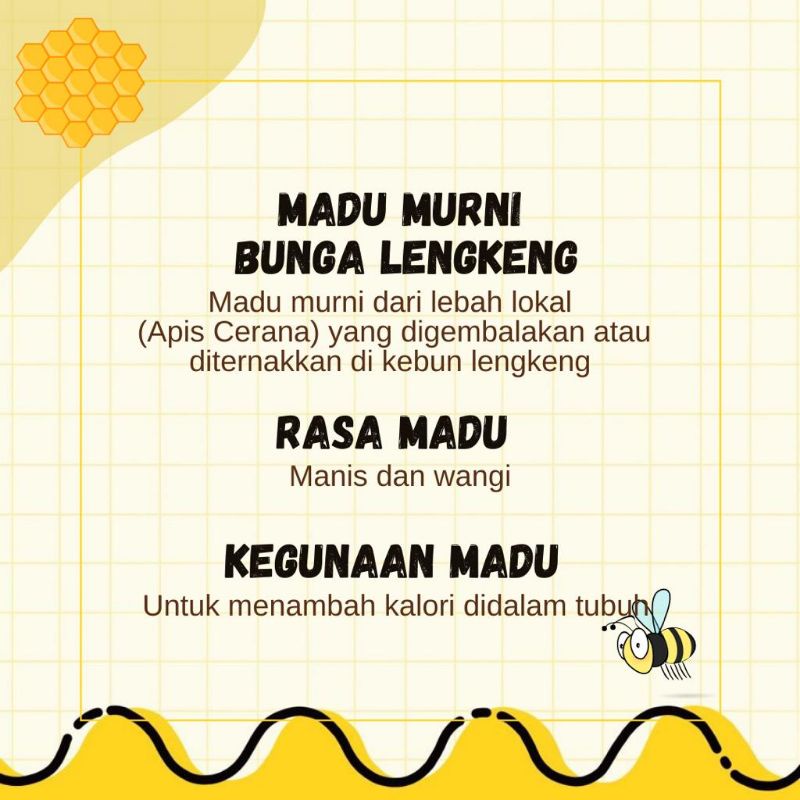 Olivoliv Snack Madu Murni Bunga Lengkeng - Peternakan Tawon Rimba Raya 500 Ml Kemasan Jurigen