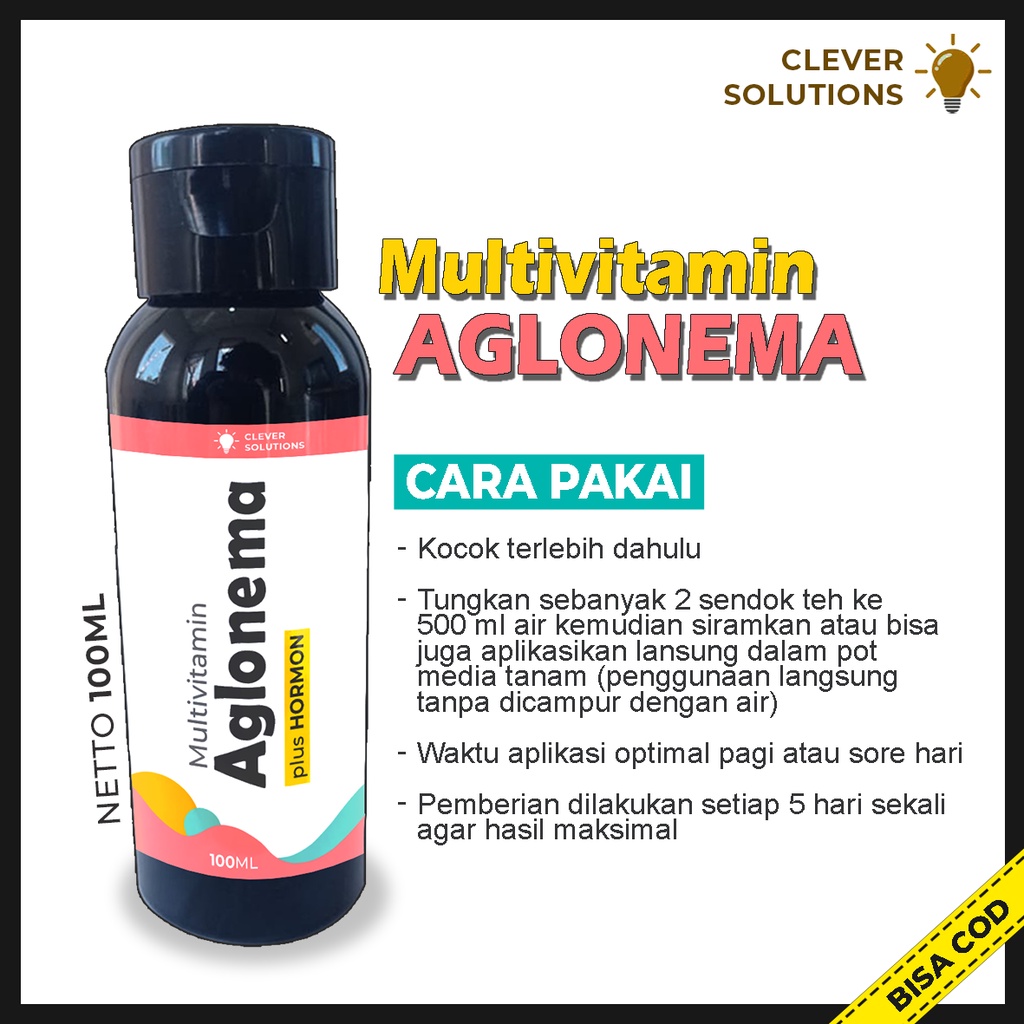 Pupuk Agolnema Multivitamin Aglonema Penggemuk dan Penumbuh Tunas Aglonema Pigmentasi Warna Aglonema