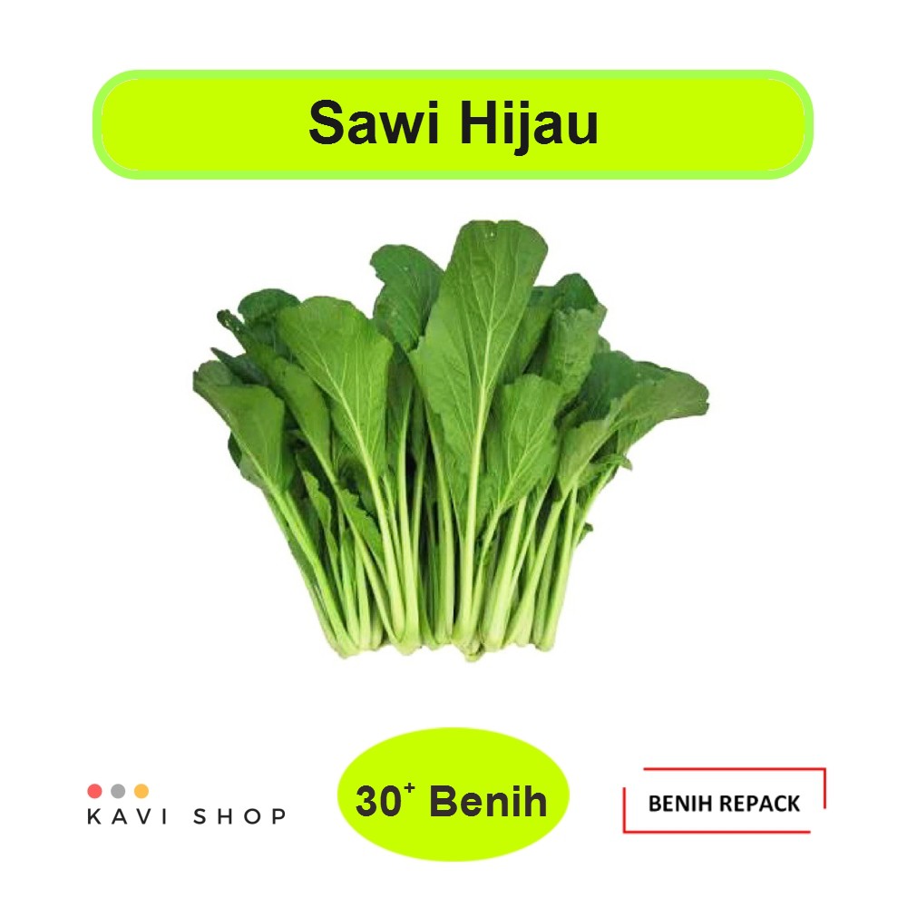 Jual Benih Biji Bibit Sawi Hijau Caisim Repack Shopee Indonesia