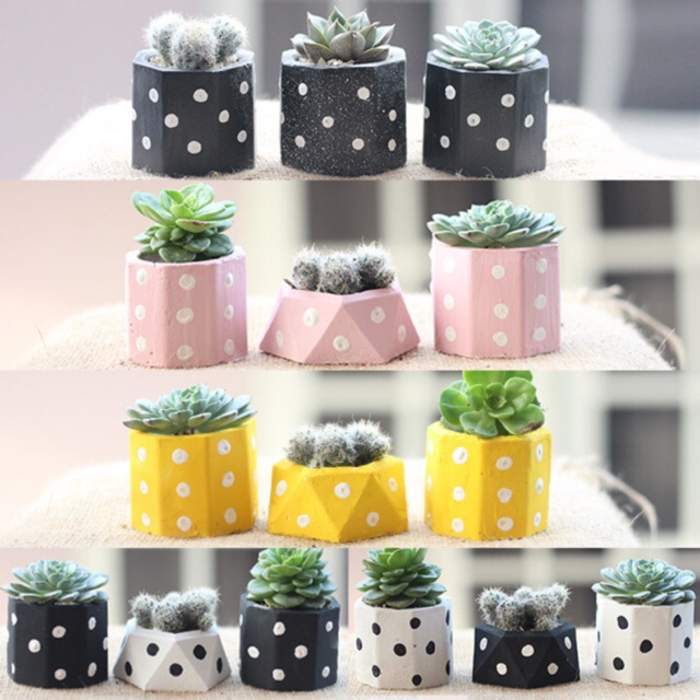 3 pot  lukis MINI sukulen  lucu vas 6cm clay concrete 