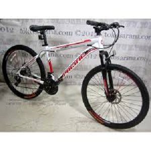 FREE ONGKIR SEPEDA MTB PACIFIC INVERT 26'