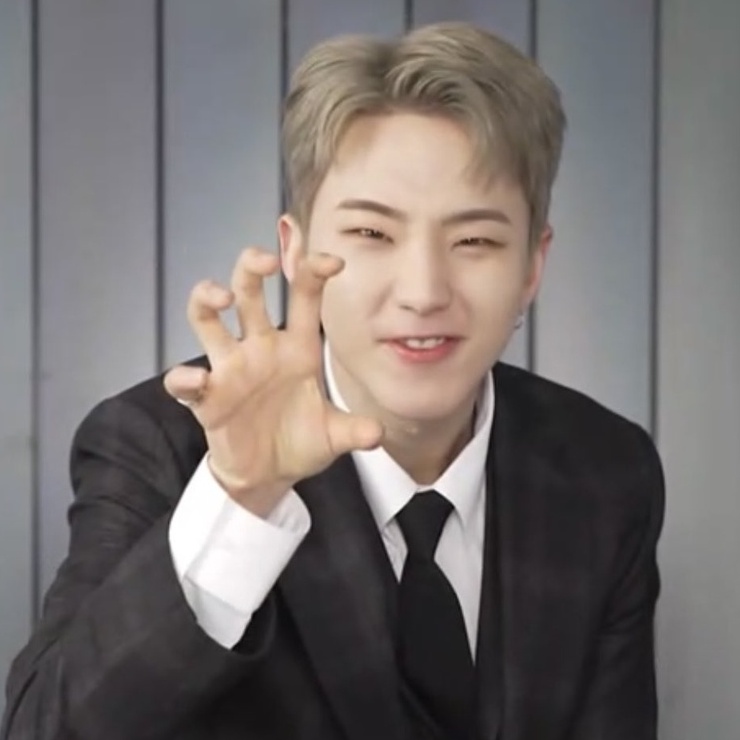 Seventeen Mingyu Joshua PC Attacca Carat Ver.