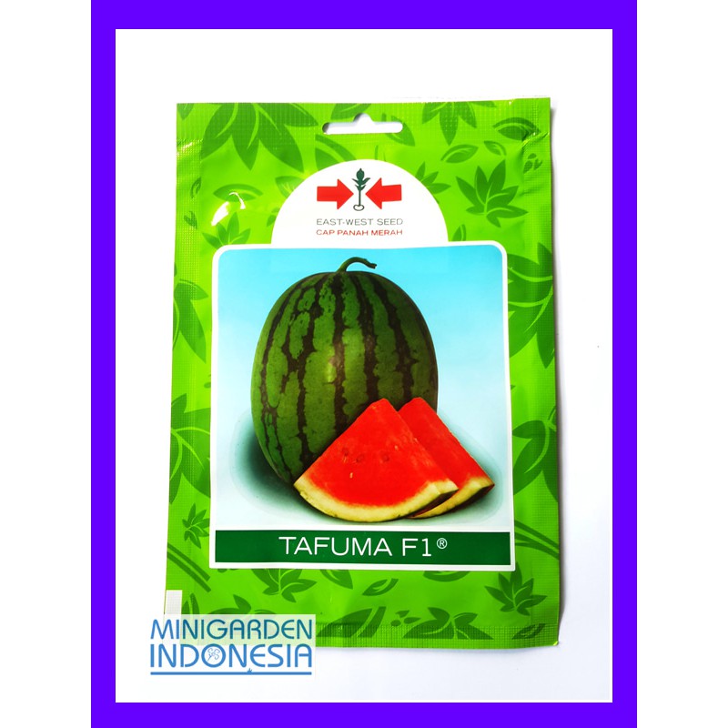 1 Pack 80 Benih Semangka Tafuma F1 Panah Merah bibit tanaman buah buahan  Shopee Indonesia