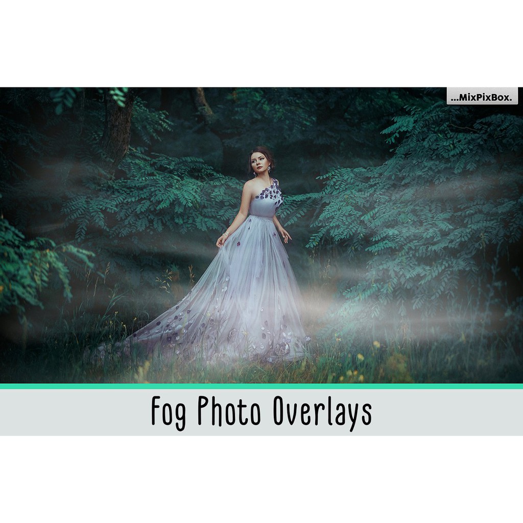 Fog Photo Overlays - Photoshop