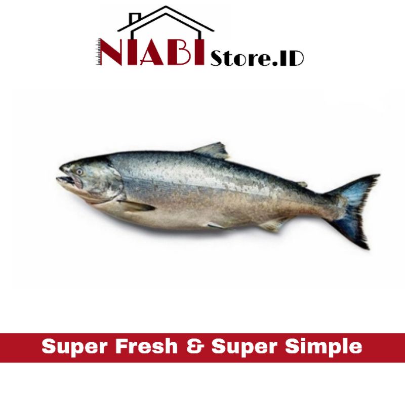 

SALMON LOKAL UKURAN BESAR SEGAR 1 KG