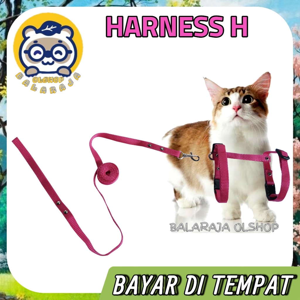 Harnes H + Tali Tuntun 1 Set Model H Polos Kucing Kiten Kelinci Musang Anjing Kecil Ready Semua Warna