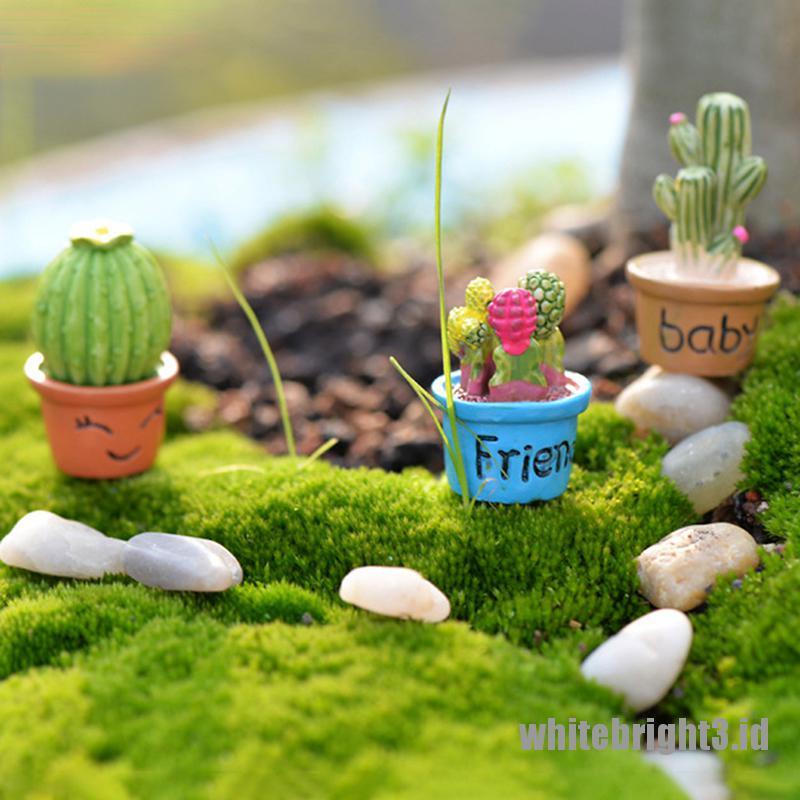 (white3) Miniatur Kaktus Untuk Dekorasi Taman Minifairy Garden DIY