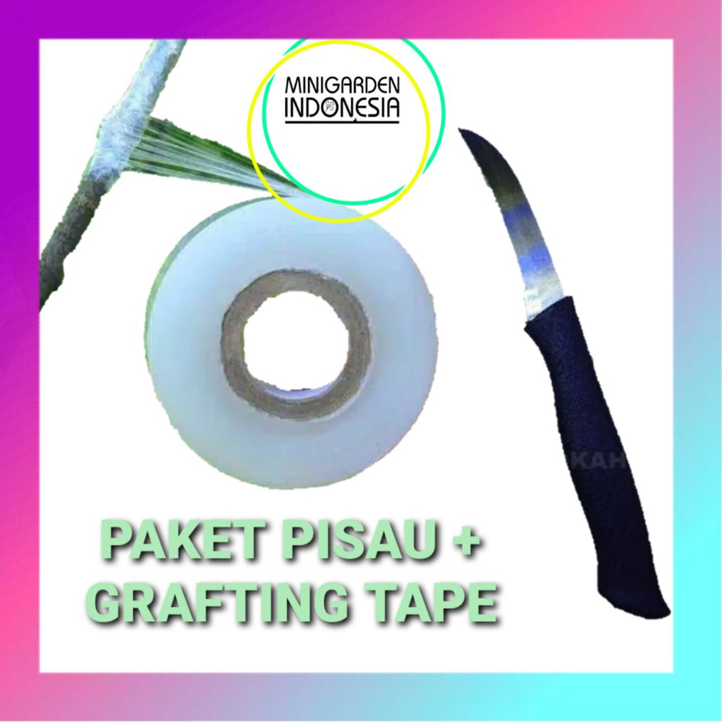 PAKET GRAFTING TAPE + PISAU OKULASI lokal sambung pucuk cangkok stek plastik wrap stretch tanaman