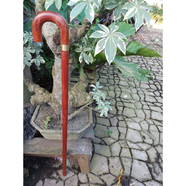 tongkat jalan Kayu Nagasari Original