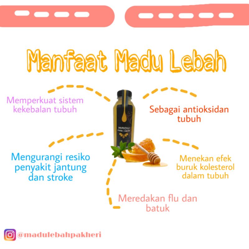 

Madu Lebah ASLI (300 ml)