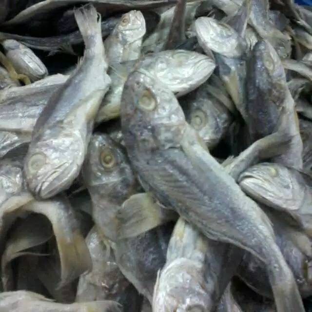 

Ikan asin Gulamo isi 250 Gram