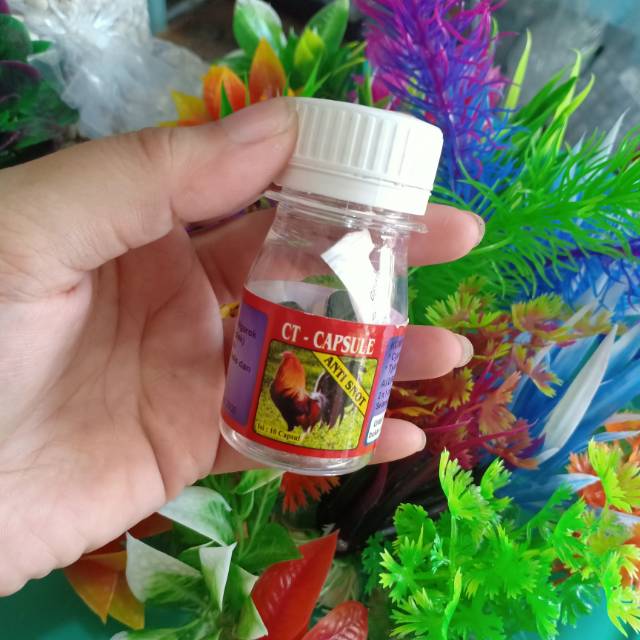 CYPRO TYLOSIN obat ayam Ngorok dll