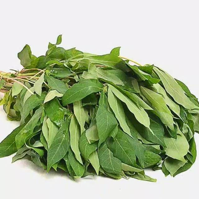 DAUN SINGKONG 1 KG