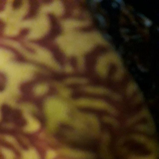 [promo] Eagle Eucalyptus Disinfectant Spray 280 Ml Termurah