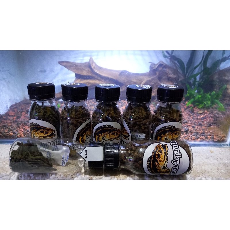 Pelet ikan channa maru