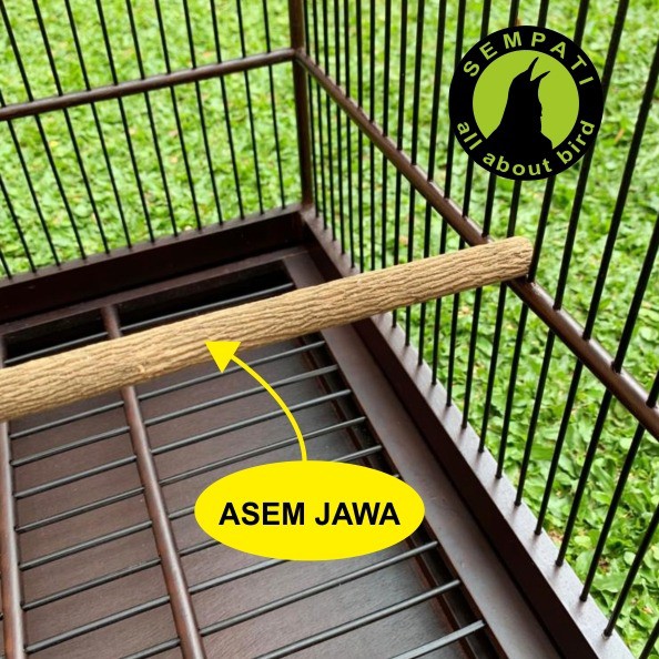 Tangkringan Pangkringan Kayu Asem Jawa Panjang Pendek Super
