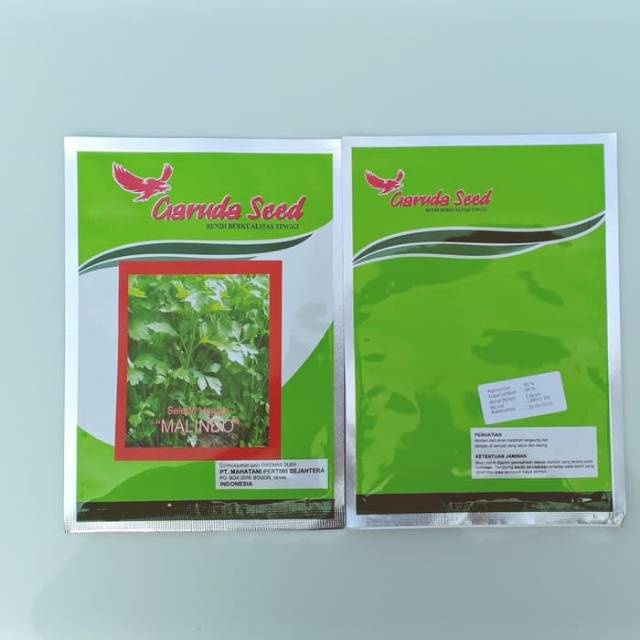 Benih seledri MALINDO 5 gram daun sup daun sop dari garuda seed-1