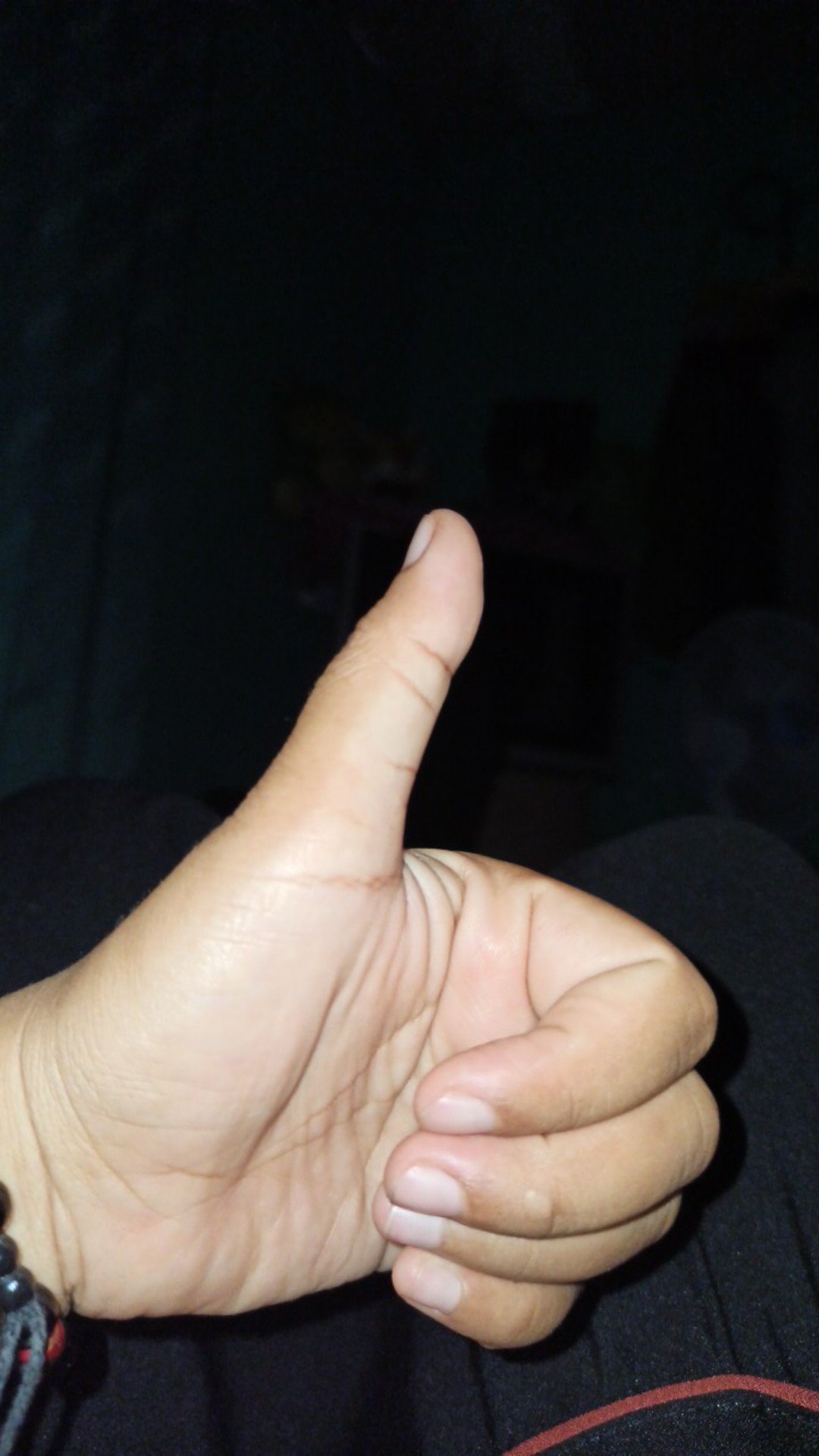 Kotak Makan Bento Lunch Box Set 3 Tingkat Transparant Lid Tempat Makan Bpa Free 900m