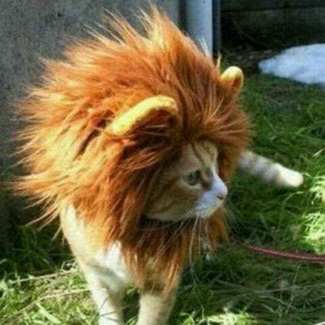 Topi Kucing Singa Cap Rambut Topi Wig Desain Singa Dengan Telinga Untuk Kostum Kucing Dan Anjing Peliharaan