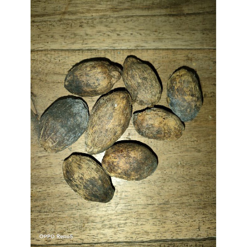 

buah pinag tua kering berkulit 50 biji