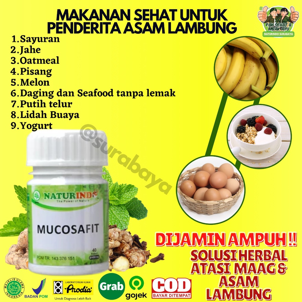 Obat Sakit Asam Lambung Maag Begah Sendawa Obat Herbal Sakit Maag Obat Asam Lambung Maag Kronis Obat Lambung Ampuh BPOM MUI Herbal MUCOSAFIT Naturindo Surabaya Obat asam lambung GERD naik maag gerd kronis tungkak lambung sakit perut mual muntah Herbal-6