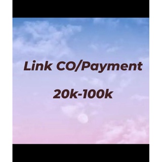 Image of LInk CO/Payment 20-100
