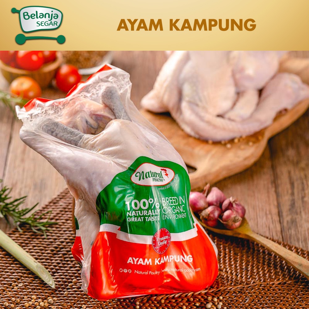 

Ayam Kampung Asli Reguler 700-800 gram - Natural Poultry