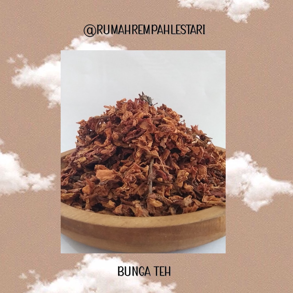 

BUNGA TEH KERING SIMPLISIA
