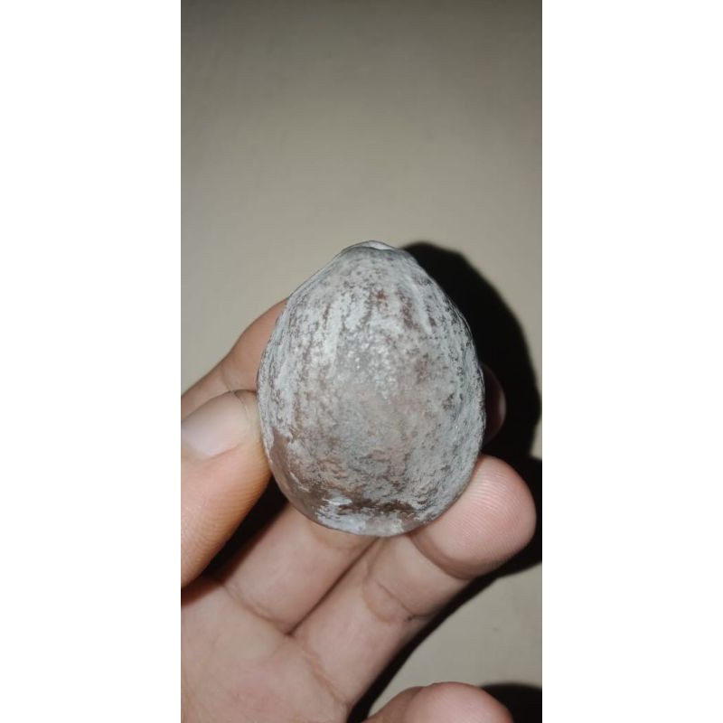 

muncang adu jayanti