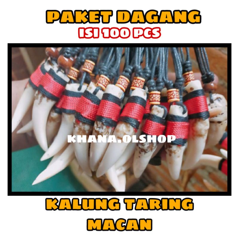 KALUNG TARING MACAN ISI 100 PCS